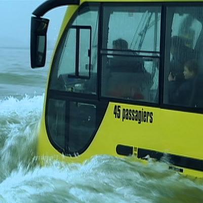 amphibus amphibus
