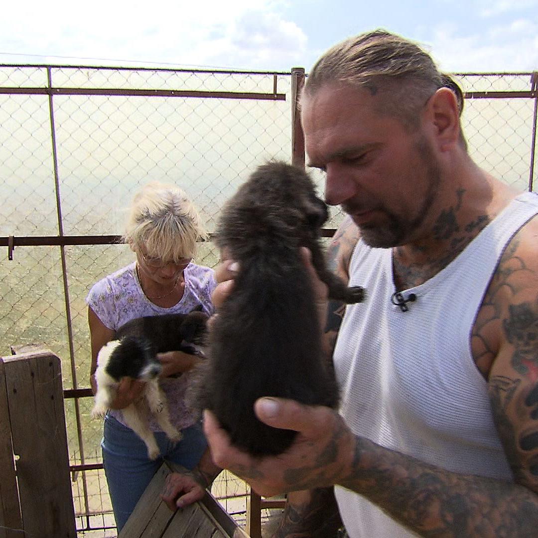 Tiergeschichten3 Harte Hunde - Ralf Seeger und Welpe Tiergeschichten3 Harte Hunde - Ralf Seeger und Welpe