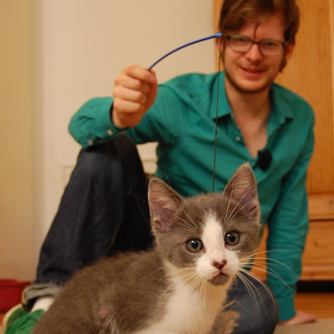 hkm KatzenkloTEST hkm KatzenkloTEST