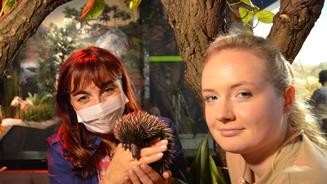 Eine zoologische Sensation