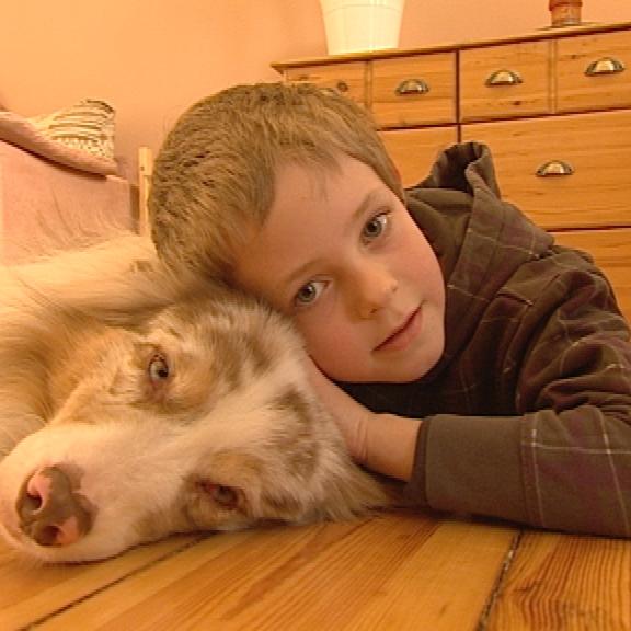 Tieranwalt - Sohn Tom und Hund Quix Tieranwalt - Sohn Tom und Hund Quix