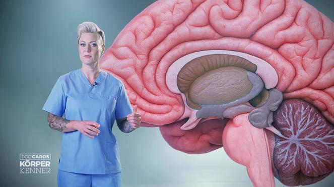 Top 10 Gesundheitsmythen – und die Wahrheit dahinter