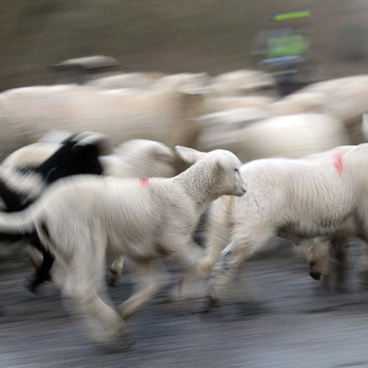 Ein nächtliches Abenteuer im Landkreis Verden