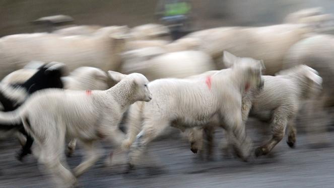 Ein nächtliches Abenteuer im Landkreis Verden