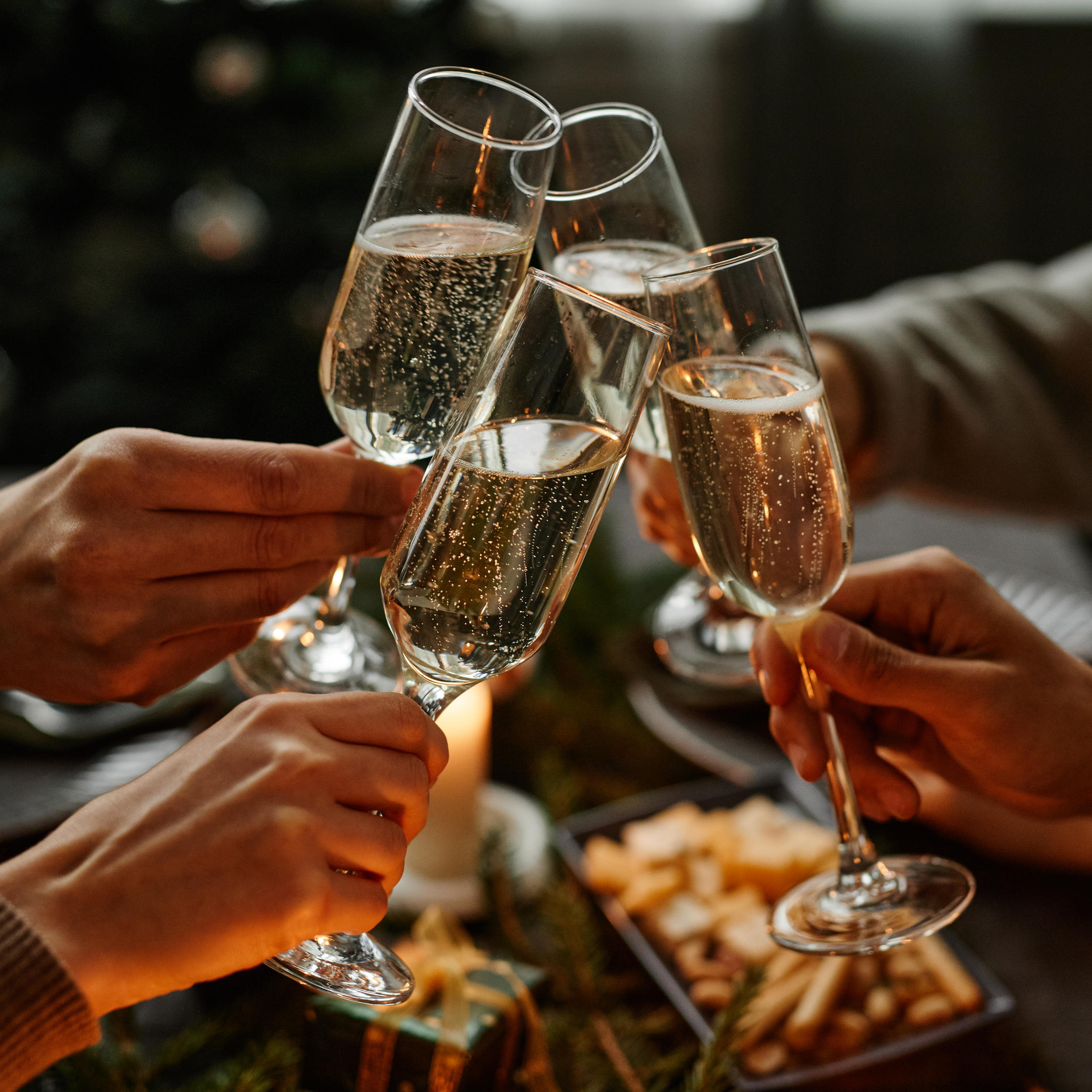 vb m fr+ Anstoßen mit Champagner beim Weihnachtsessen