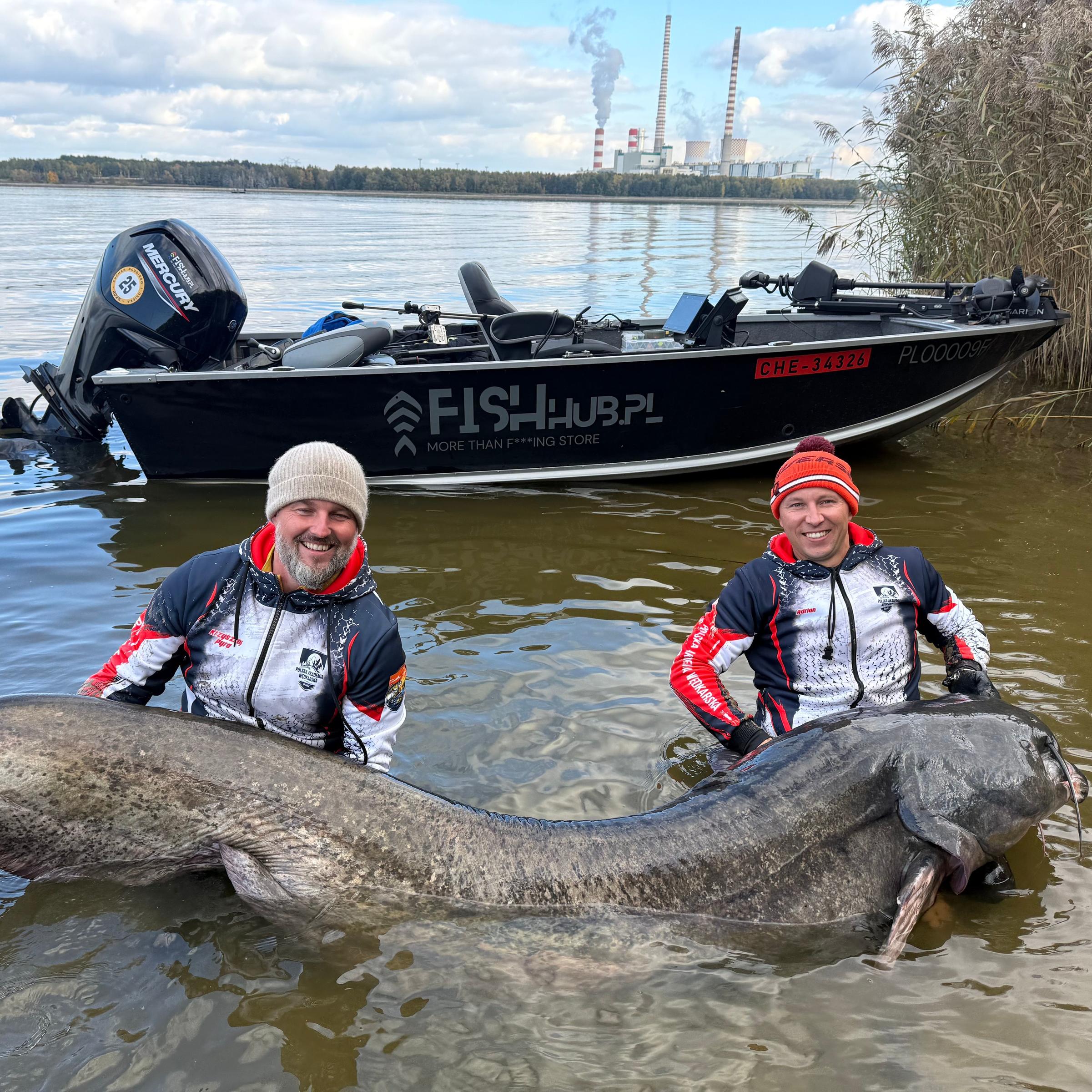Riesiger Wels in Polen gefangen