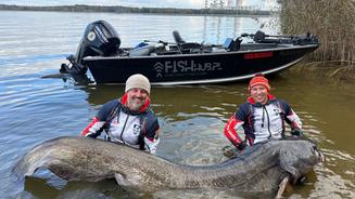 Ist das der größte Wels der Welt?