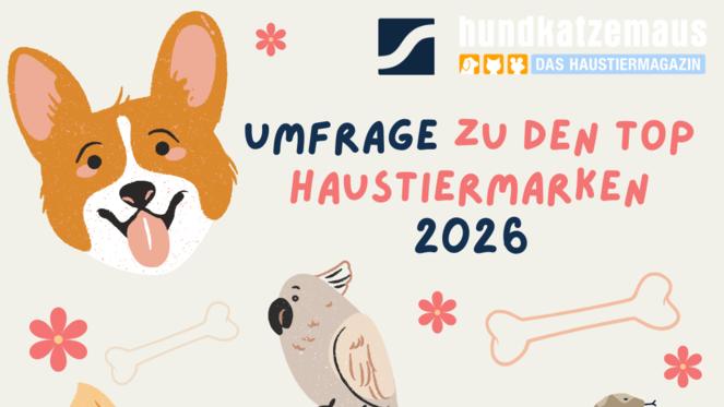 Gesucht: Top Haustiermarke 2026
