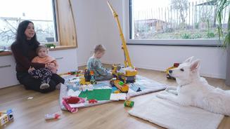 Schäferhunde brauchen eine harte Hand