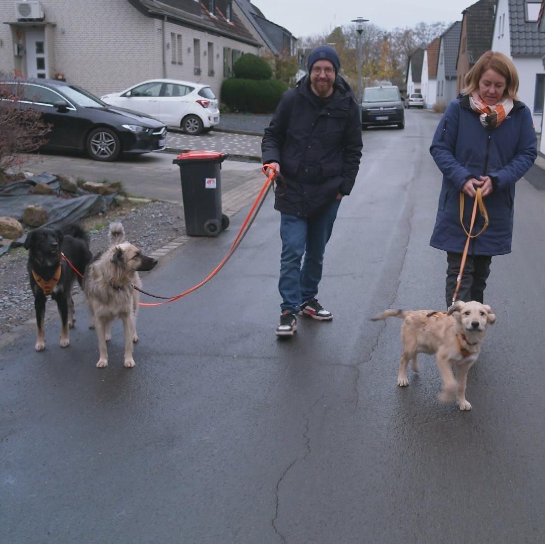Die Welpen kommen - Mit Martin Rütter