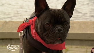 Diese Mädels wollen die Krone