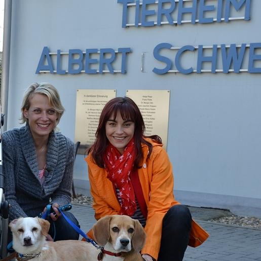 Tiergeschichten1 - VOX-DOCMA TV-JULIA PANZER - Diana Eichhorn hilft bei der Suche nach einem passenden Tierheimhund Tiergeschichten1 - VOX-DOCMA TV-JULIA PANZER - Diana Eichhorn hilft bei der Suche nach einem passenden Tierheimhund