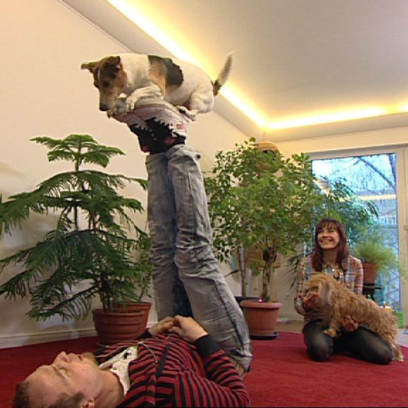 Tiergeschichten 1 - Bild 2 - Yvo Antoni zeigt Diana akrobatische Tricks Tiergeschichten 1 - Bild 2 - Yvo Antoni zeigt Diana akrobatische Tricks