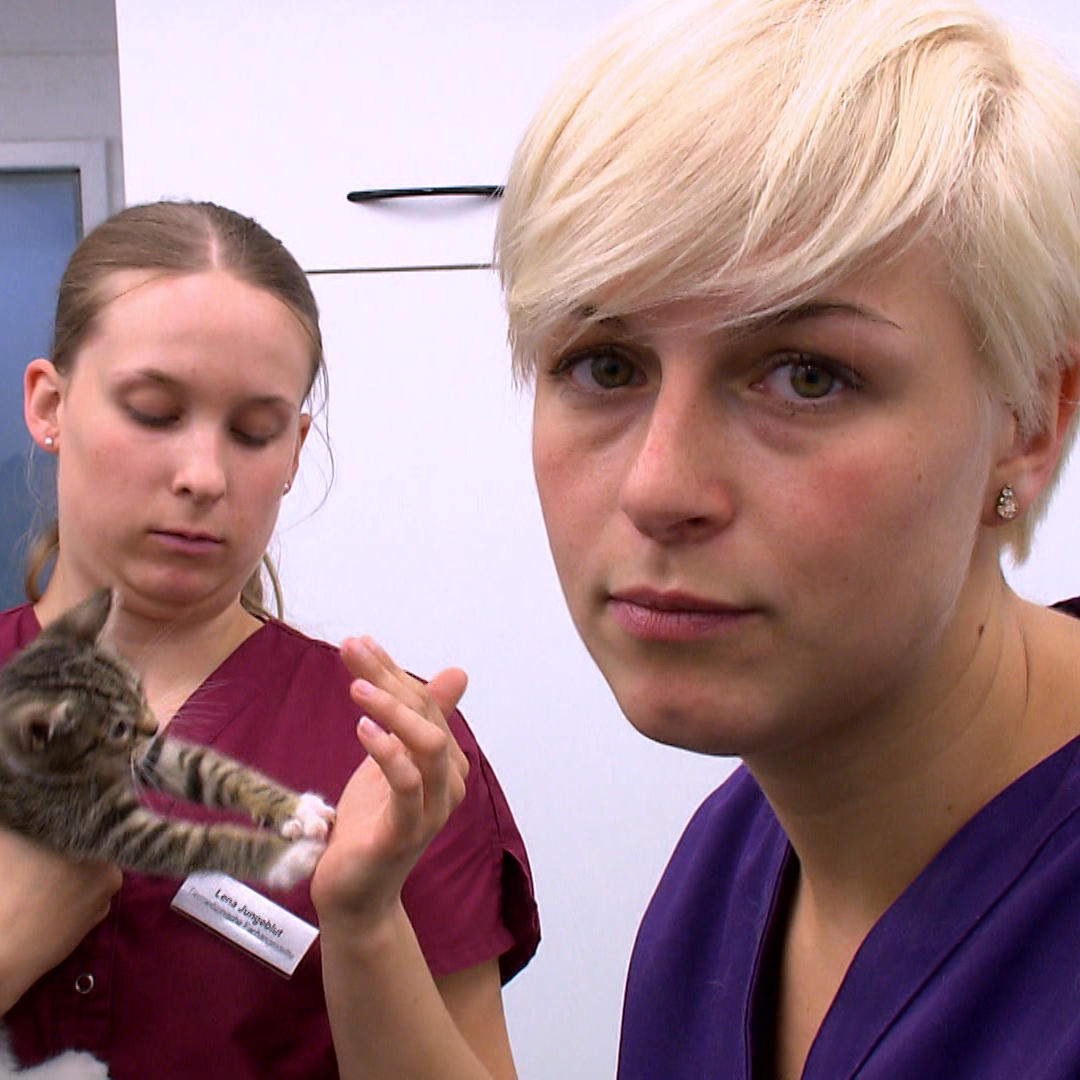 Tierklinik Tierklinik