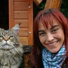 Tiergeschichten 2 - Bild 2 - Diana und Maine Coon Tiergeschichten 2 - Bild 2 - Diana und Maine Coon