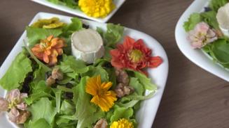 Warmer Ziegenkäse auf Salatbett