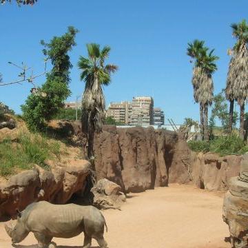 bioparc valencia bioparc valencia