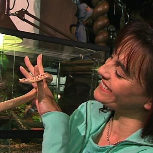 tiergeschichten2 a2 tiergeschichten2 a2