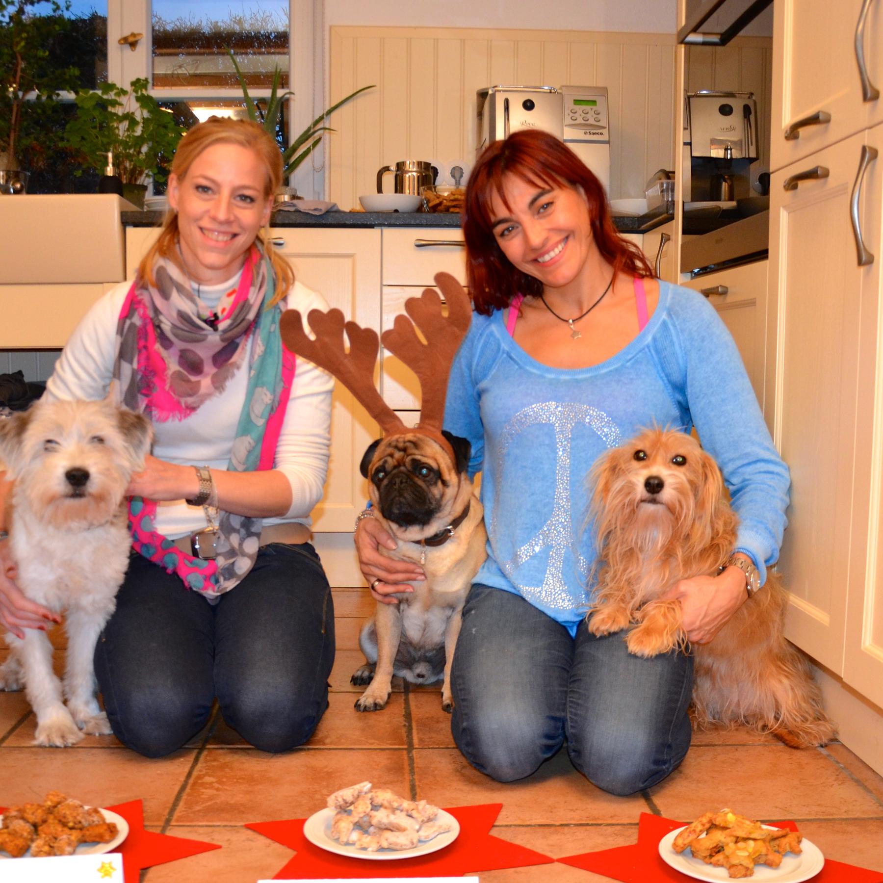 TG1 - Weihnachtspltzchen. VOX-DOMCA TV hundkatzemaus-Reporterin Diana Eichhorn mit Tierernhrungsexpertin Dr. Julia Fritz und den vierbeinigen Test-Essern.JPG TG1 - Weihnachtspltzchen. VOX-DOMCA TV hundkatzemaus-Reporterin Diana Eichhorn mit Tierernhrungsexpertin Dr. Julia Fritz und den vierbeinigen Test-Essern.JPG
