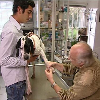 Sprechstunde Dr. Wolf untersucht Max