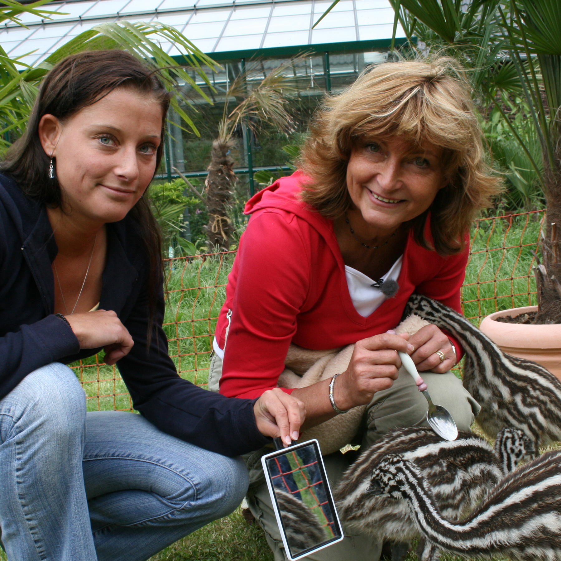 WW Folge 14 Emus 1 WW Folge 14 Emus 1