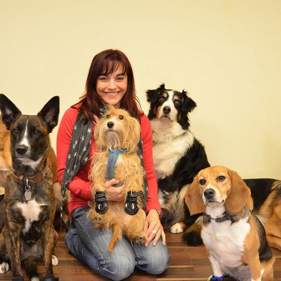 Tiergeschichten1 - VOX-DOCMA TV - CLAUDIA GRIMM - Pfotenschutzschuhe im Test Tiergeschichten1 - VOX-DOCMA TV - CLAUDIA GRIMM - Pfotenschutzschuhe im Test
