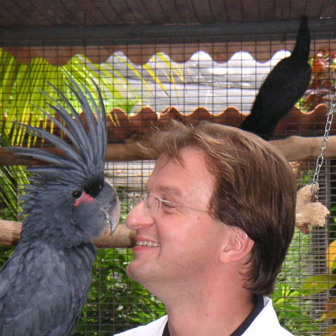 loro parque teneriffa loro parque teneriffa