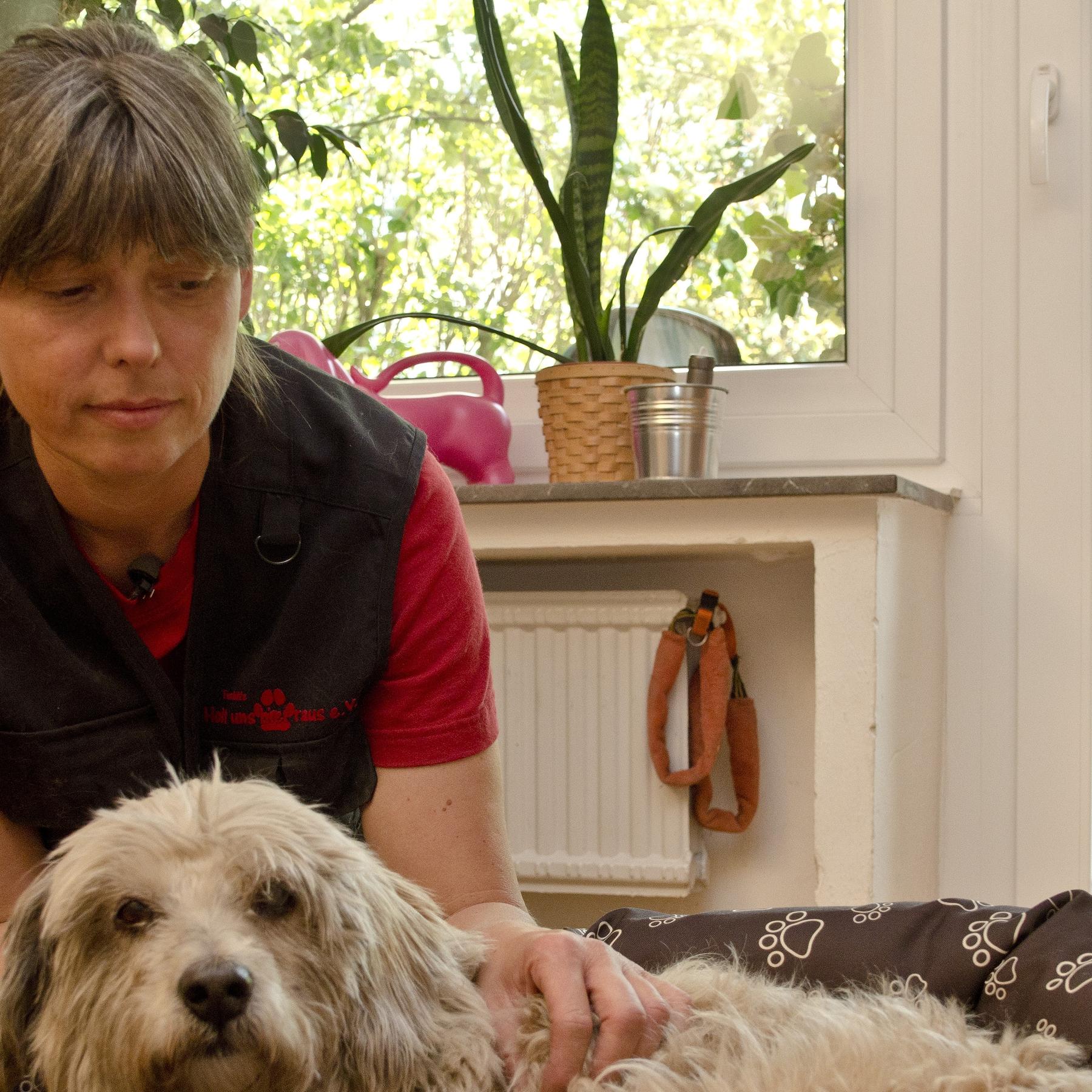 Tiergeschichten 3 - 2 Bambi und Susanne Hunscher