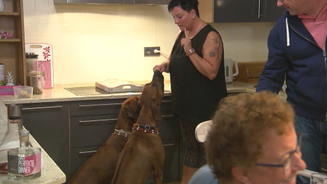 Silke lässt die Hunde los