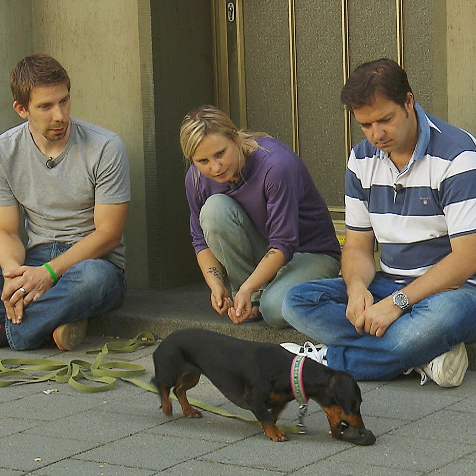 hundeprofi edi.jpg hundeprofi edi.jpg