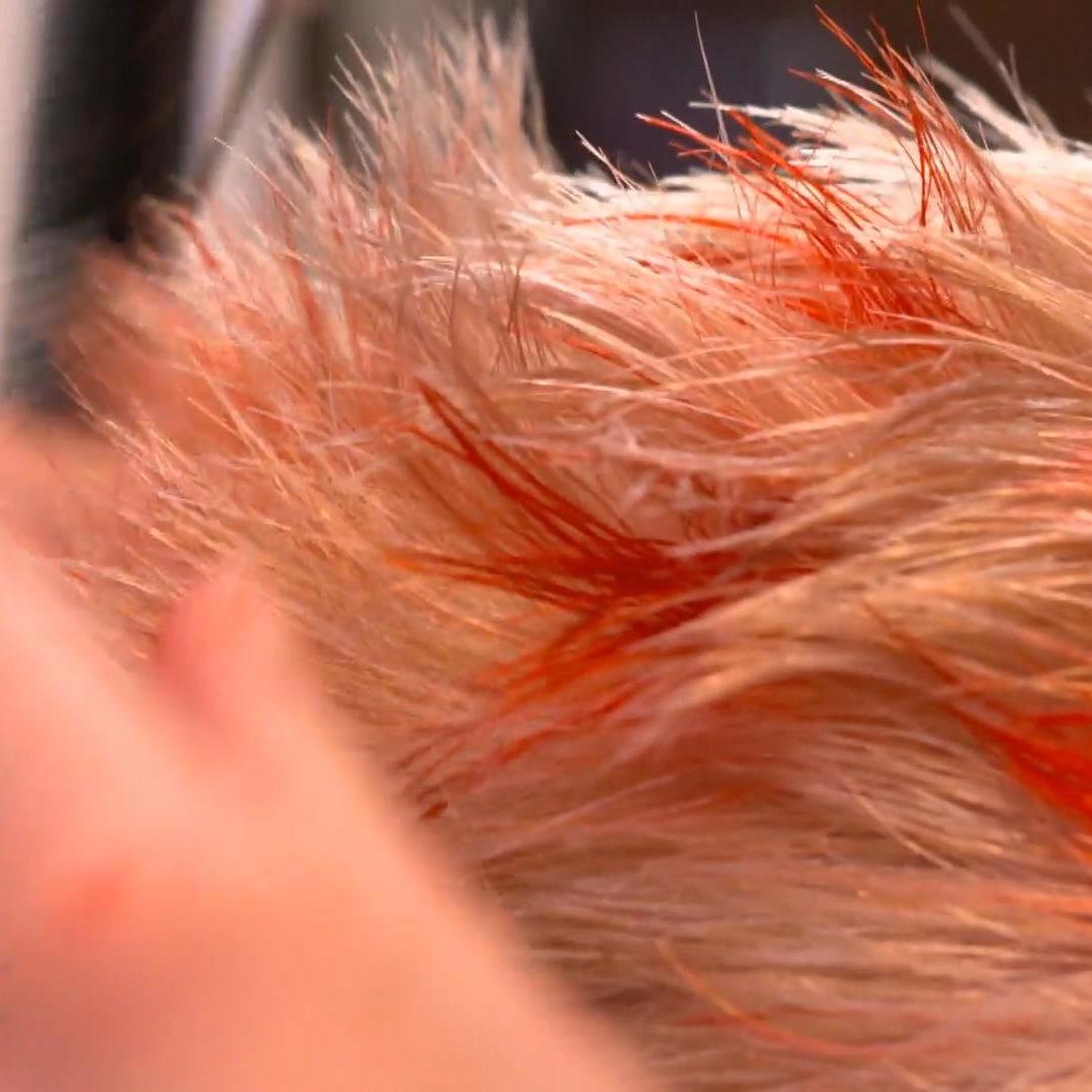 \Hasis\ neue, experimentelle Haarfarbe \Hasis\ neue, experimentelle Haarfarbe