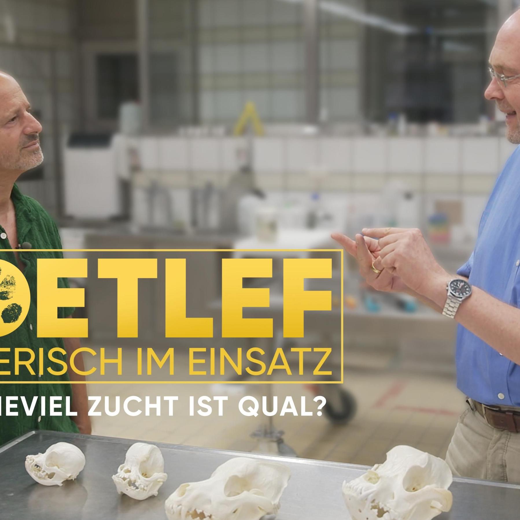 \Detlef tierisch im Einsatz - Wieviel Zucht ist Qual?\ \Detlef tierisch im Einsatz - Wieviel Zucht ist Qual?\