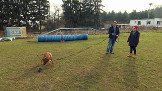 Nia frisst gerne Hundekot