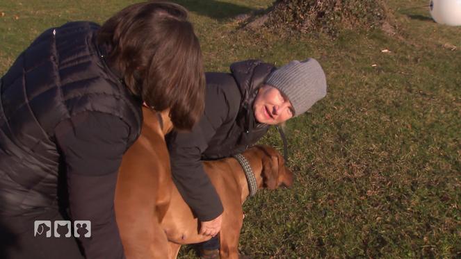 Gibt es bald Ridgeback-Nachwuchs?