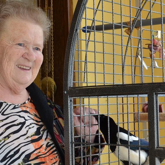 Tiere in Not - VOX-DOCMA TV - Elfriede Terner las die sprechende Elster Toni verletzt am Straenrand auf. Wird Frank Weber Toni helfen knnen.jpg Tiere in Not - VOX-DOCMA TV - Elfriede Terner las die sprechende Elster Toni verletzt am Straenrand auf. Wird Frank Weber Toni helfen knnen.jpg