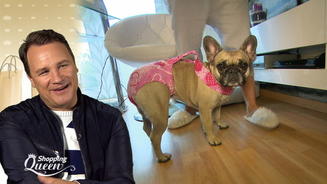 Sie alle wollen die Krone