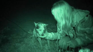 Judith entdeckt vernachlässigte Tiere
