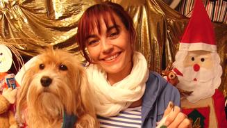 Tierische Adventskalender