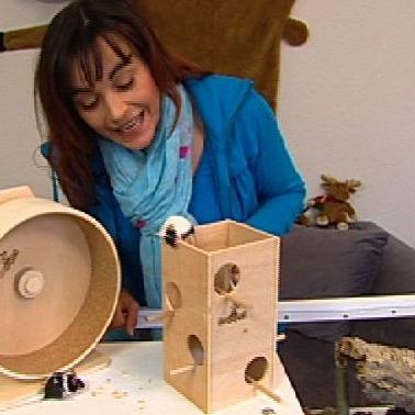 Vorschau2 - Farbmuse Vorschau2 - Farbmuse