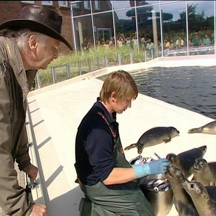 planetblue robben und dr.wolf planetblue robben und dr.wolf