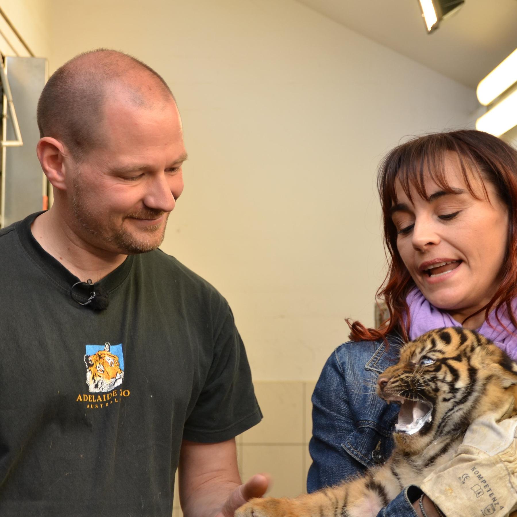 Vorschau2 - Diana und Tigerbaby Vorschau2 - Diana und Tigerbaby