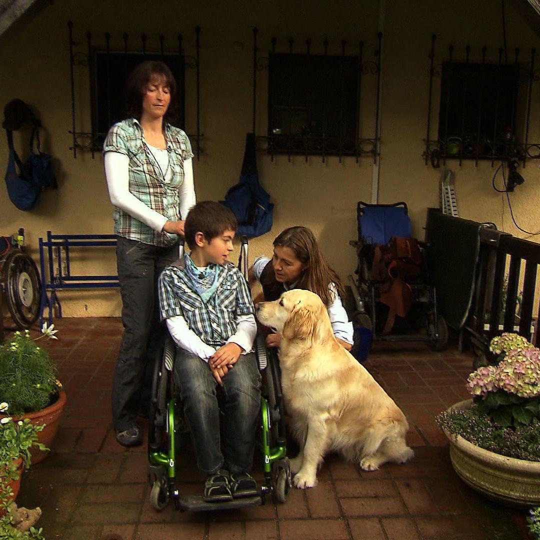 vita assistenzhunde robin&connor Assistenzhund vita assistenzhunde robin&connor Assistenzhund