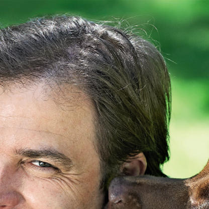 Der Hundeprofi Doppelband.jpg Der Hundeprofi Doppelband.jpg