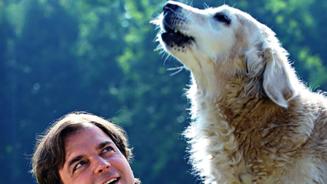 Der Hundeprofi 2 – Neue Fälle