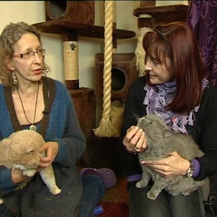 tiergeschichten1 diana+züchterin tiergeschichten1 diana+züchterin