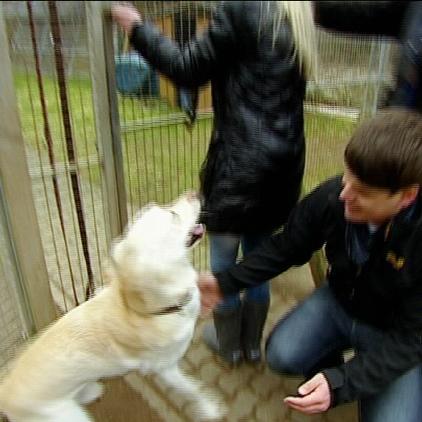 th koblenz hundevermittlung th koblenz hundevermittlung