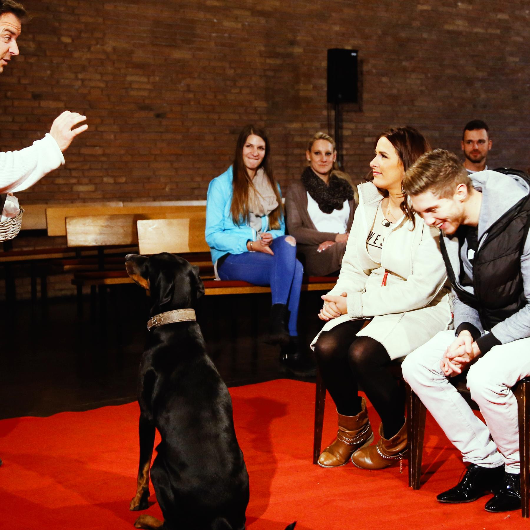 VIP Hundeprofi Heindle0186.jpg VIP Hundeprofi Heindle0186.jpg
