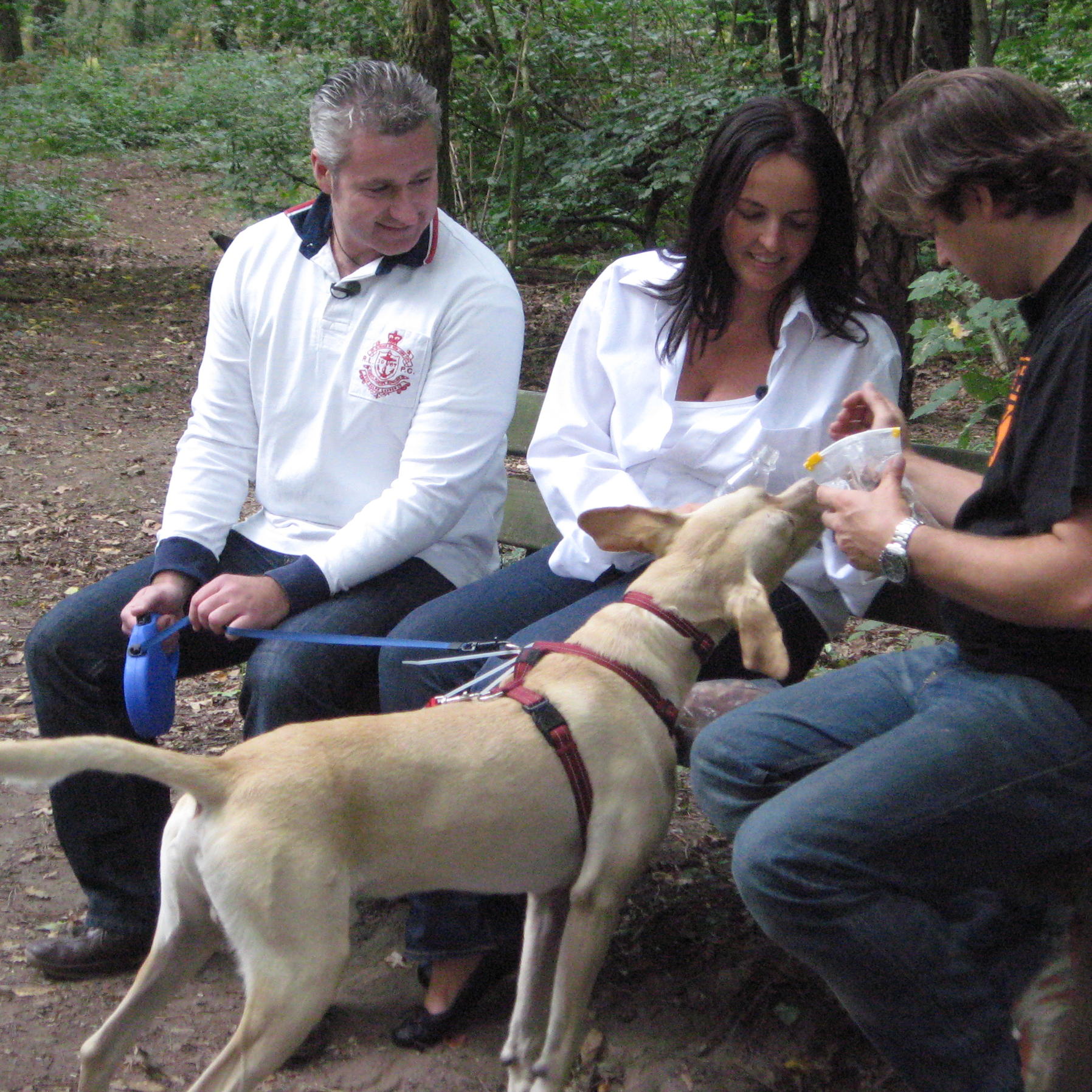 hundeprofi Sammy2 hundeprofi Sammy2