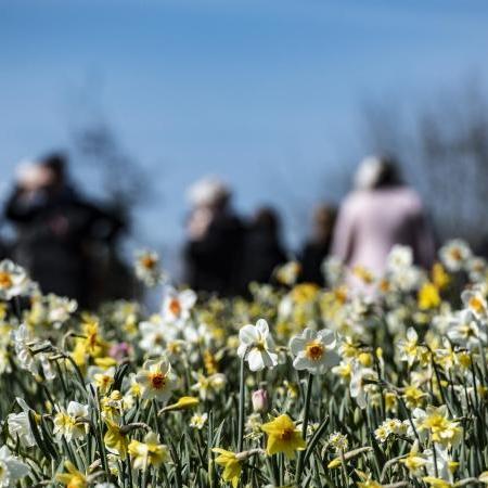 Besucher gehen über das Gelände der Landesgartenschau im brandenburgischen Beelitz. Foto: Paul Zinken/dpa Besucher gehen über das Gelände der Landesgartenschau im brandenburgischen Beelitz. Foto: Paul Zinken/dpa