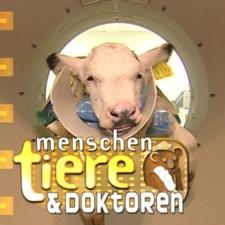 logo neu logo neu